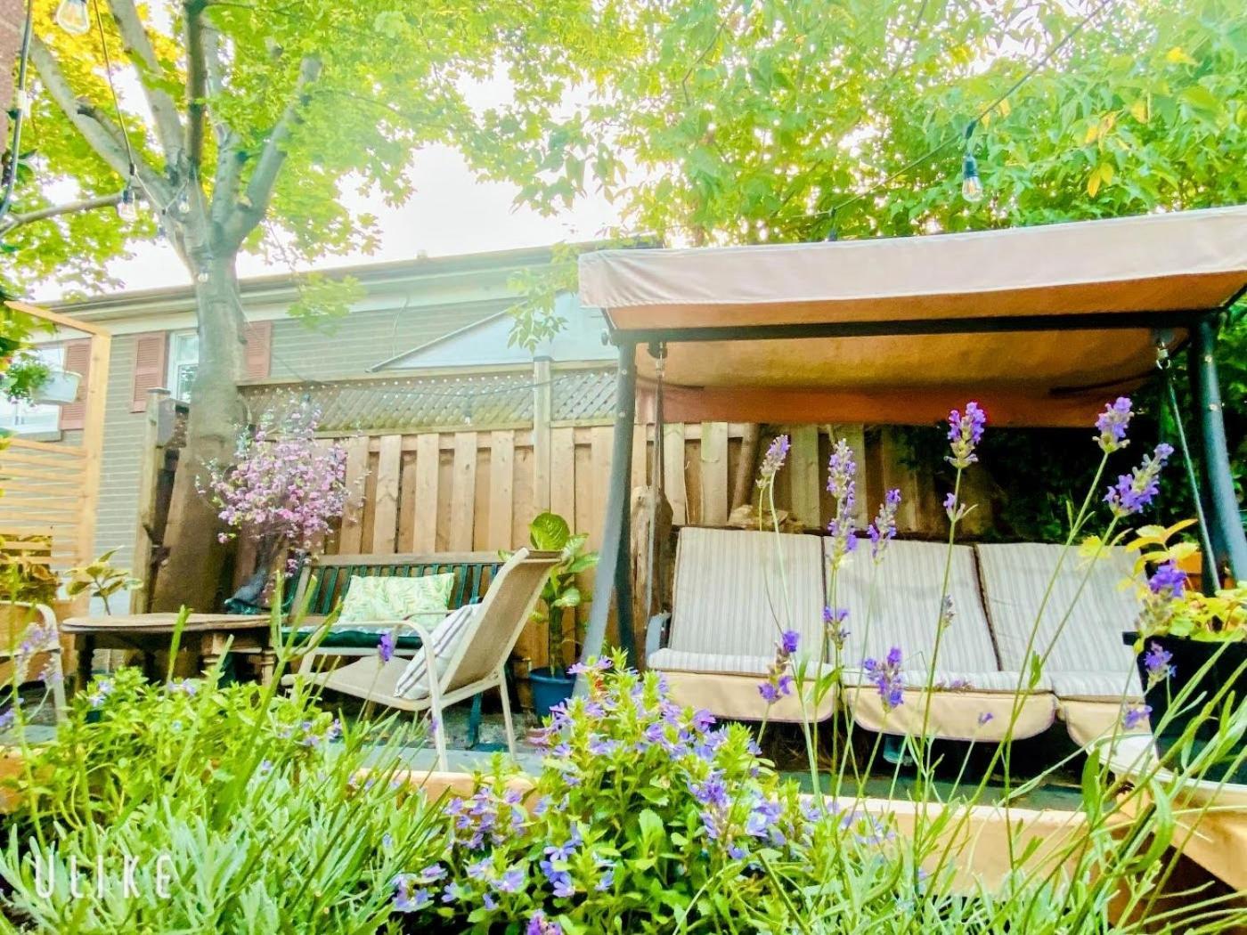 Toronto Bed & Breakfast - Free Parking Екстер'єр фото