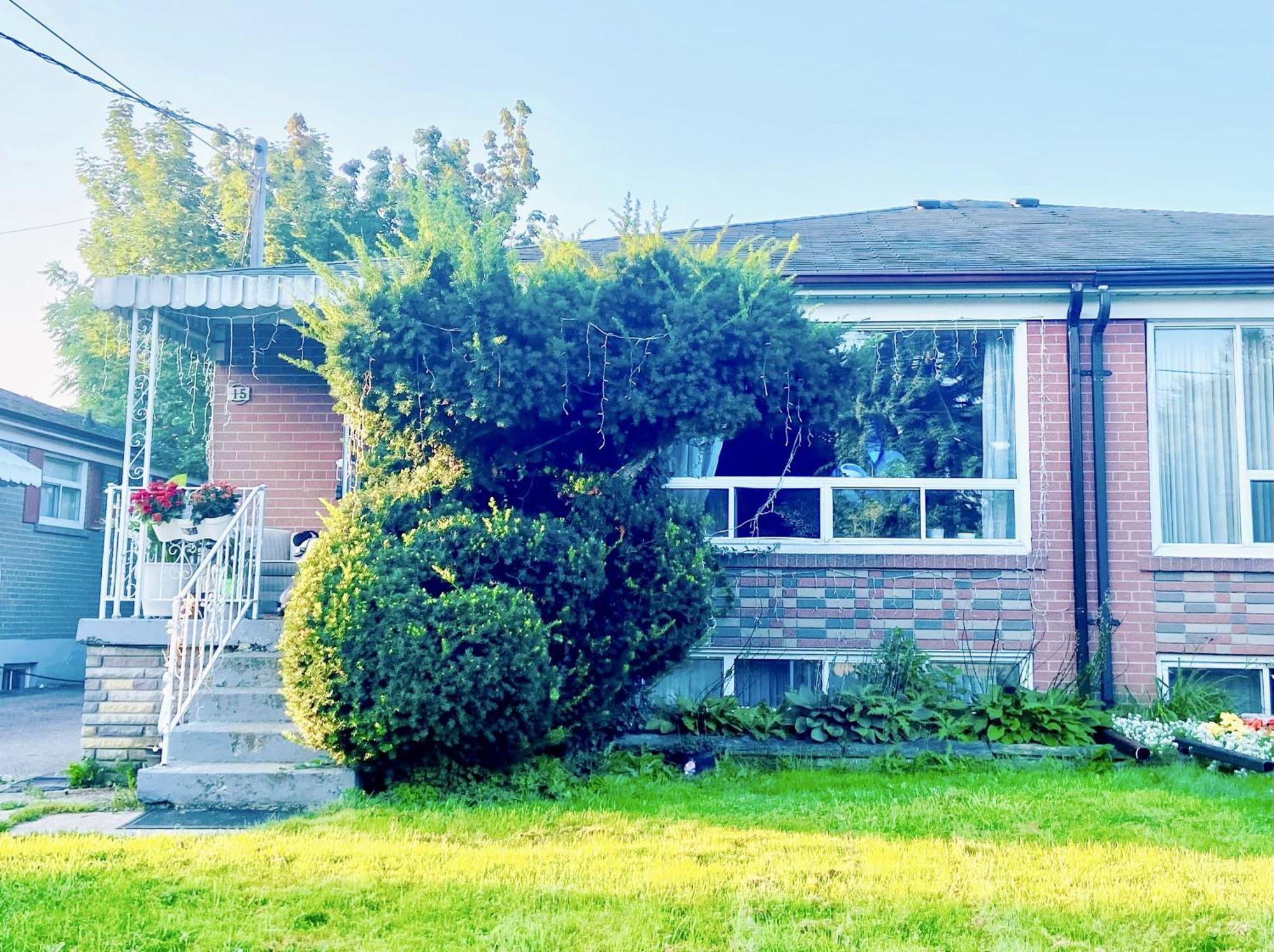 Toronto Bed & Breakfast - Free Parking Екстер'єр фото